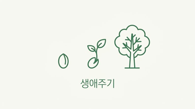 생애주기별 지원금 안내 이미지