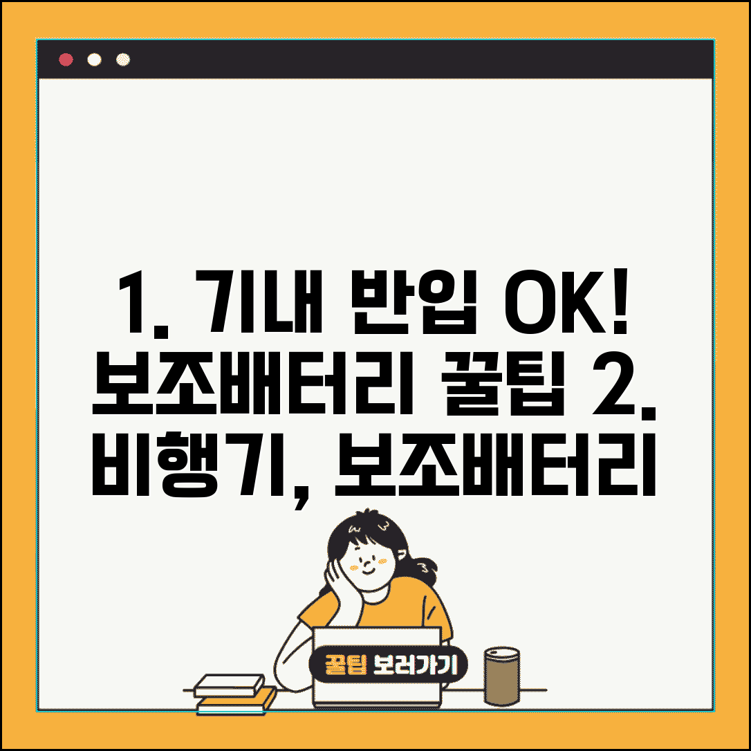 비행기 보조배터리 기내반입 절차 | 보안검색 통과 요령