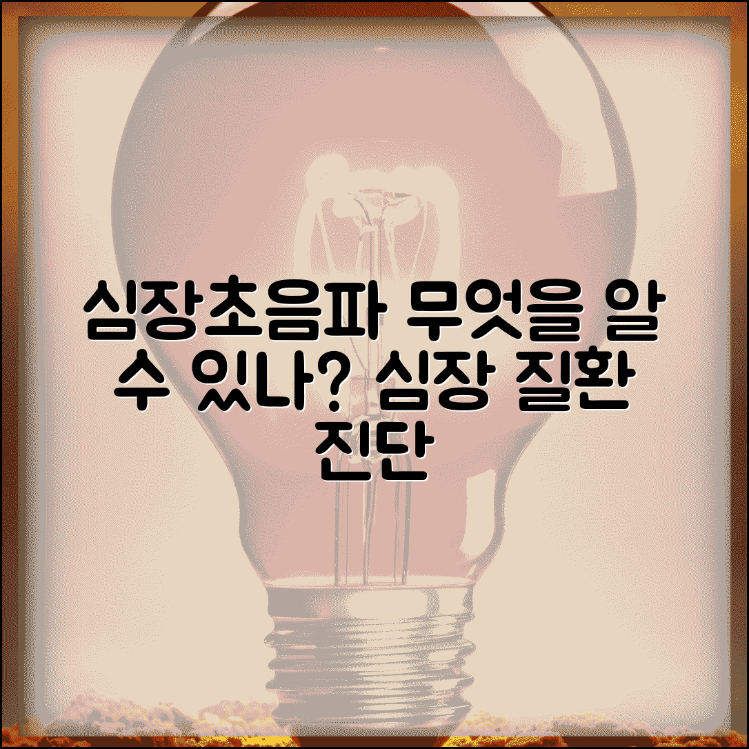 심장초음파로 알수있는병 | 판막질환/심근증/선천성 심장병 진단 정보