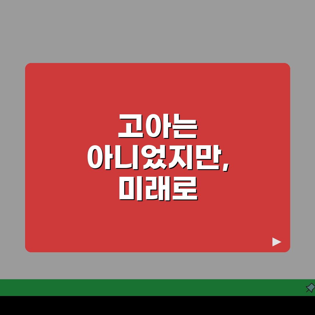 날때부터 고아는 아니었다 의미 분석 | 출생과 환경에 관한 표현 | 맥락적 이해 솔직후기