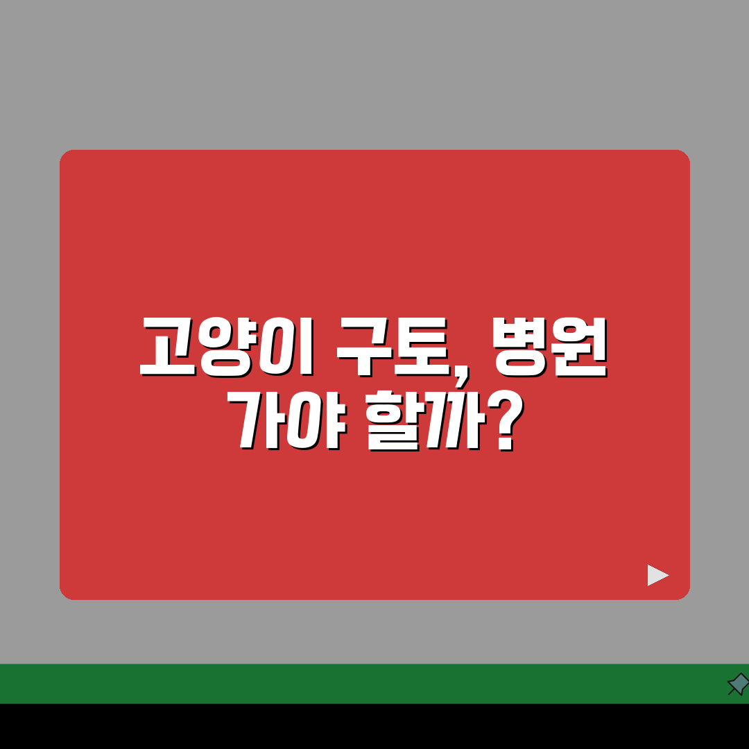 고양이가 계속 구토하는데 병원 가야 하나요? 7가지 원인 심층분석