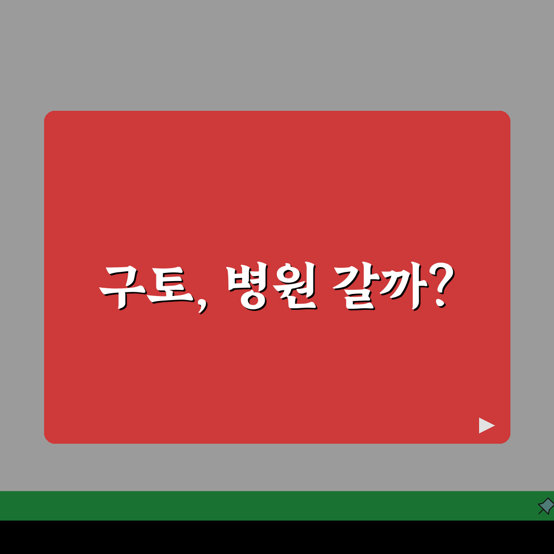 고양이가 계속 구토하는데 병원 가야 하나요? 7가지 원인 심층분석