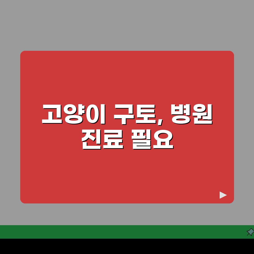고양이가 계속 구토하는데 병원 가야 하나요? 7가지 원인 심층분석