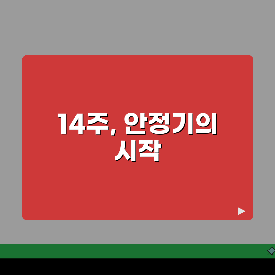 임신 안정기 시작 시점 | 14주부터 달라지는 생활 패턴 솔직후기, 몸이 편해졌어요