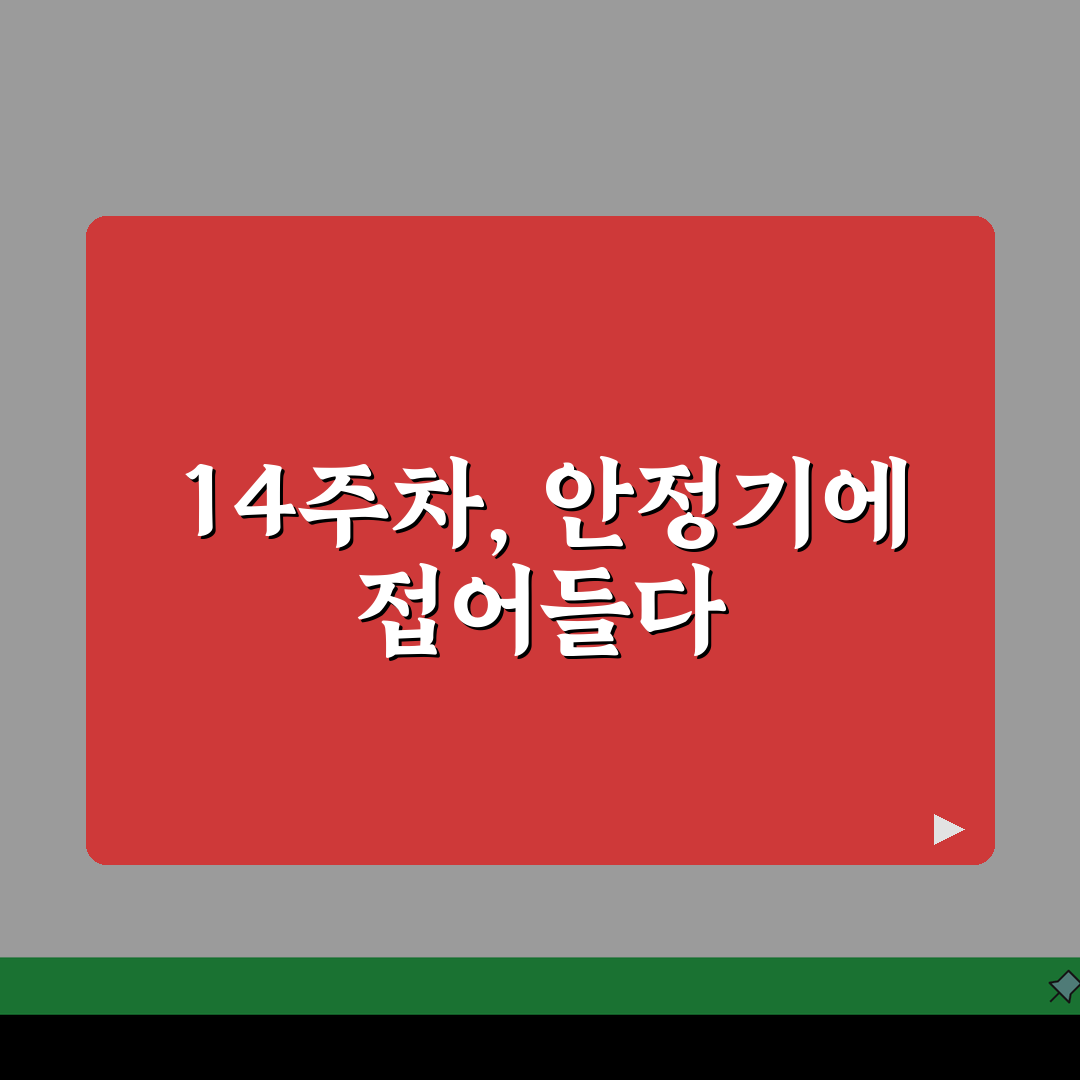 임신 안정기 시작 시점 | 14주부터 달라지는 생활 패턴 솔직후기, 몸이 편해졌어요