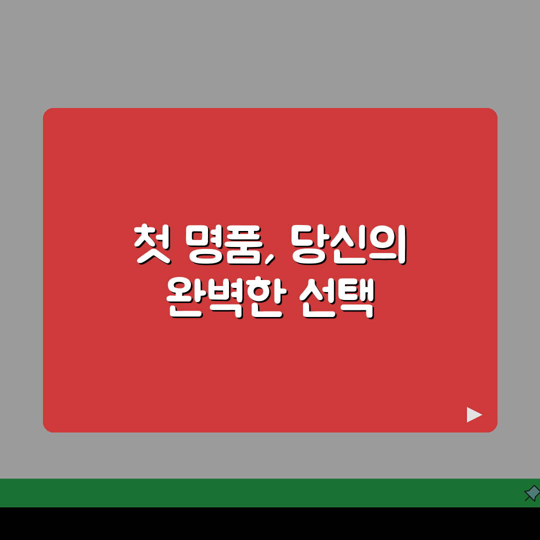 명품 가방 입문 추천 첫 명품 가방 순위 | 20대 30대 첫 명품 선택 솔직후기, 고민