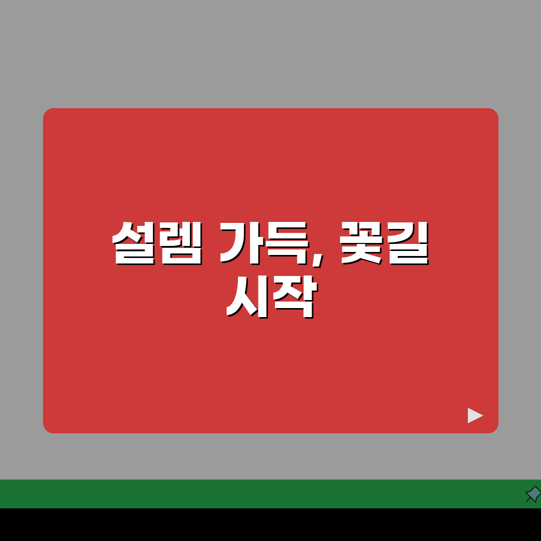 서울 중랑구 묵동 플라워레슨 | 원데이클래스 | 꽃다발제작, 플라워박스 직접 해봤어요